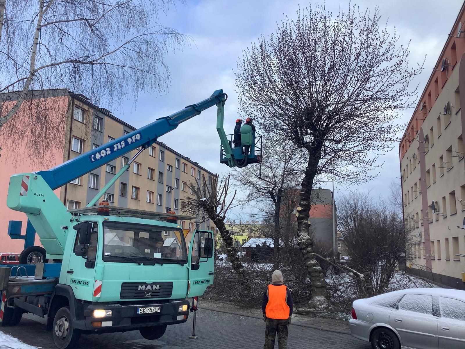 Pielęgnacyjne przycinanie koron